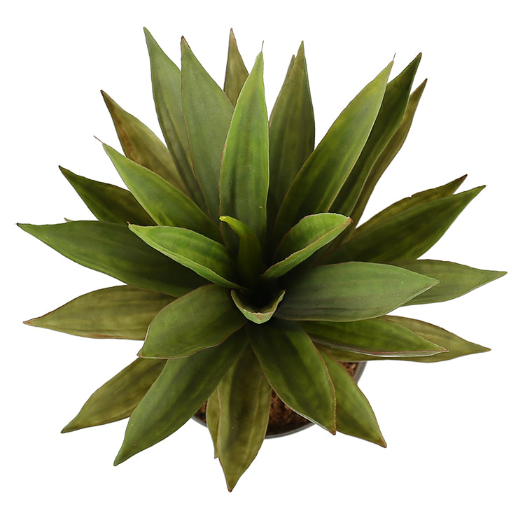aloe vera plant nz Buy the Mecora Artificial Dense Potted Aloe Vera Plant 50 cm (V77-1018108)  Online – Mecora NZ