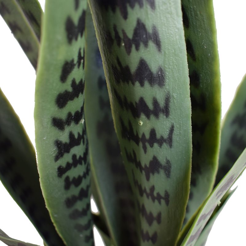Buy the Mecora Artificial Snake Plant UV Resistant 100cm (V77-1009516)  Online – Mecora NZ