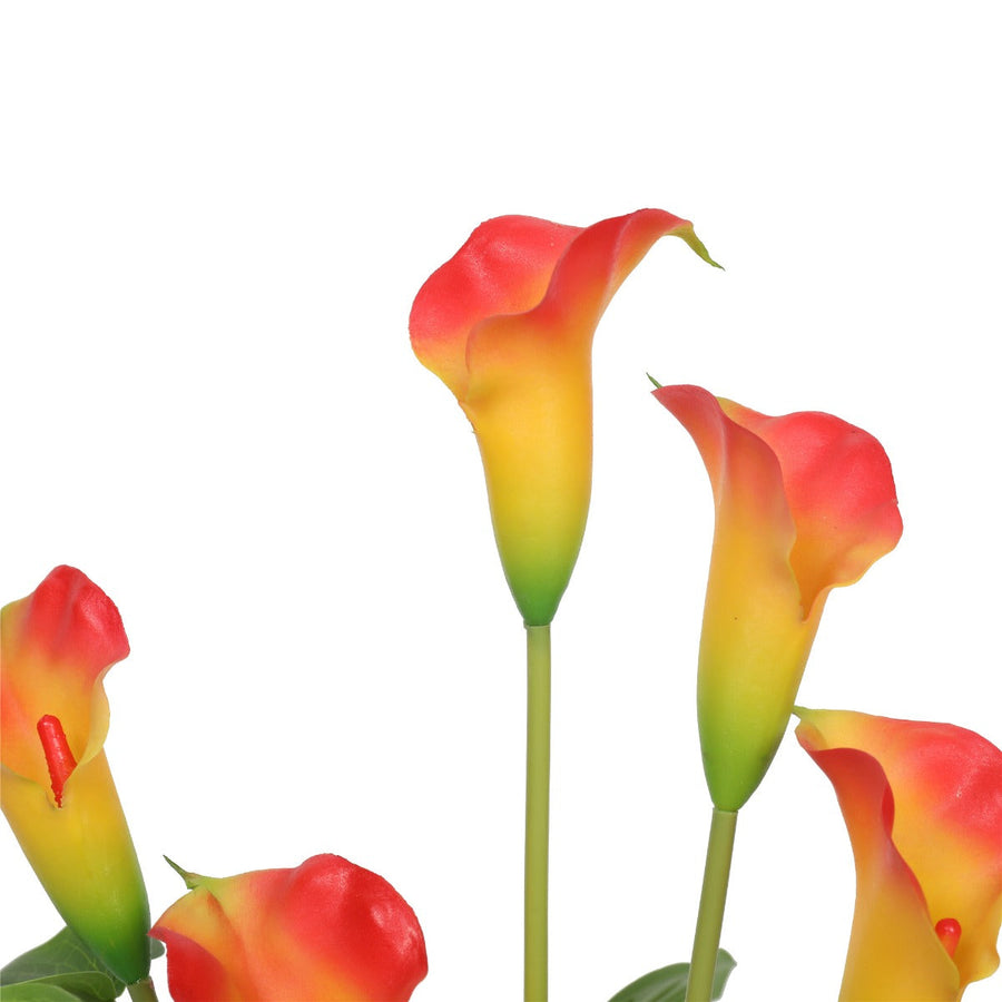 orange peace lily Buy the Mecora Artificial Flowering White & Orange Peace Lily / Calla Lily Plant 50cm (V77-1128563) Online – Mecora NZ