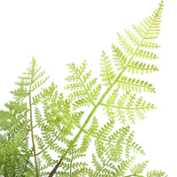 Faux Natural Fern Tree 90cm