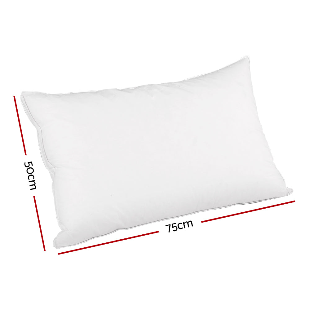 Goose Feather Down Twin Pack Pillow