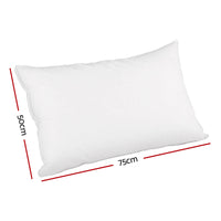 Goose Feather Down Twin Pack Pillow