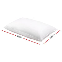 Set of 2 Goose Feather and Down Pillow - White