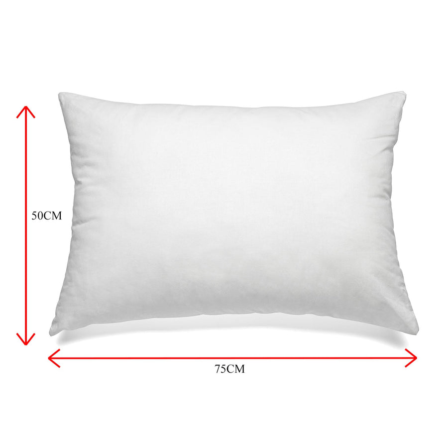 Luxury Duck Feather & Down Pillow Twin Pack - White