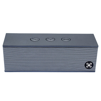 BassBox Portable Wireless Speaker - Platinum
