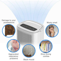 SDZ-10L Dehumidifier