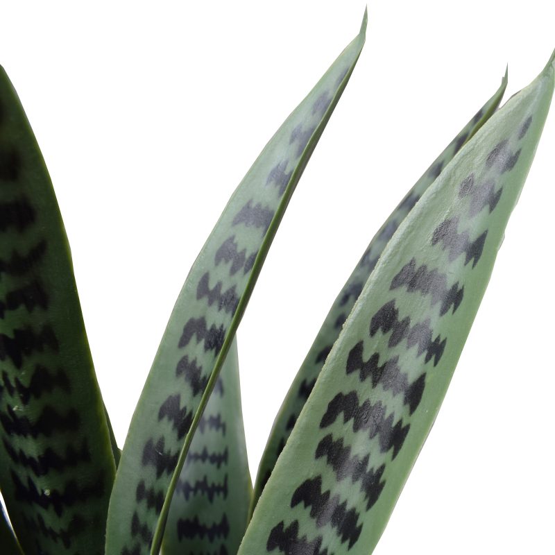 fake snake plant nz Buy the Mecora Artificial Snake Plant UV Resistant 60cm (V77-1009514) Online – Mecora NZ