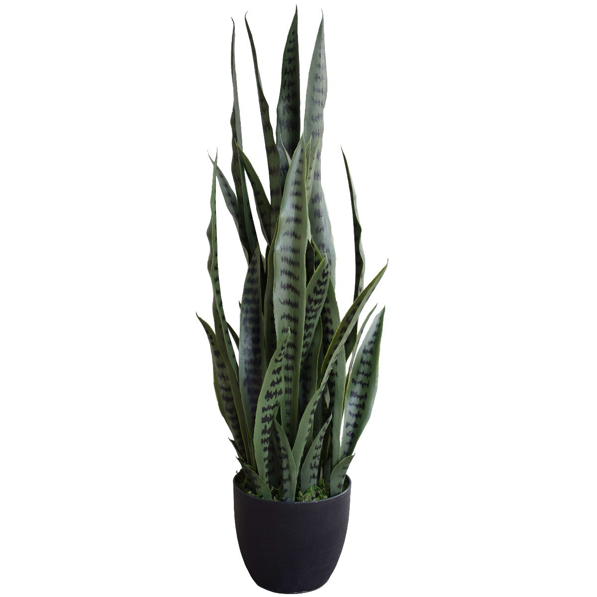fake snake plant nz Buy the Mecora Artificial Snake Plant UV Resistant 100cm (V77-1009516) Online – Mecora NZ