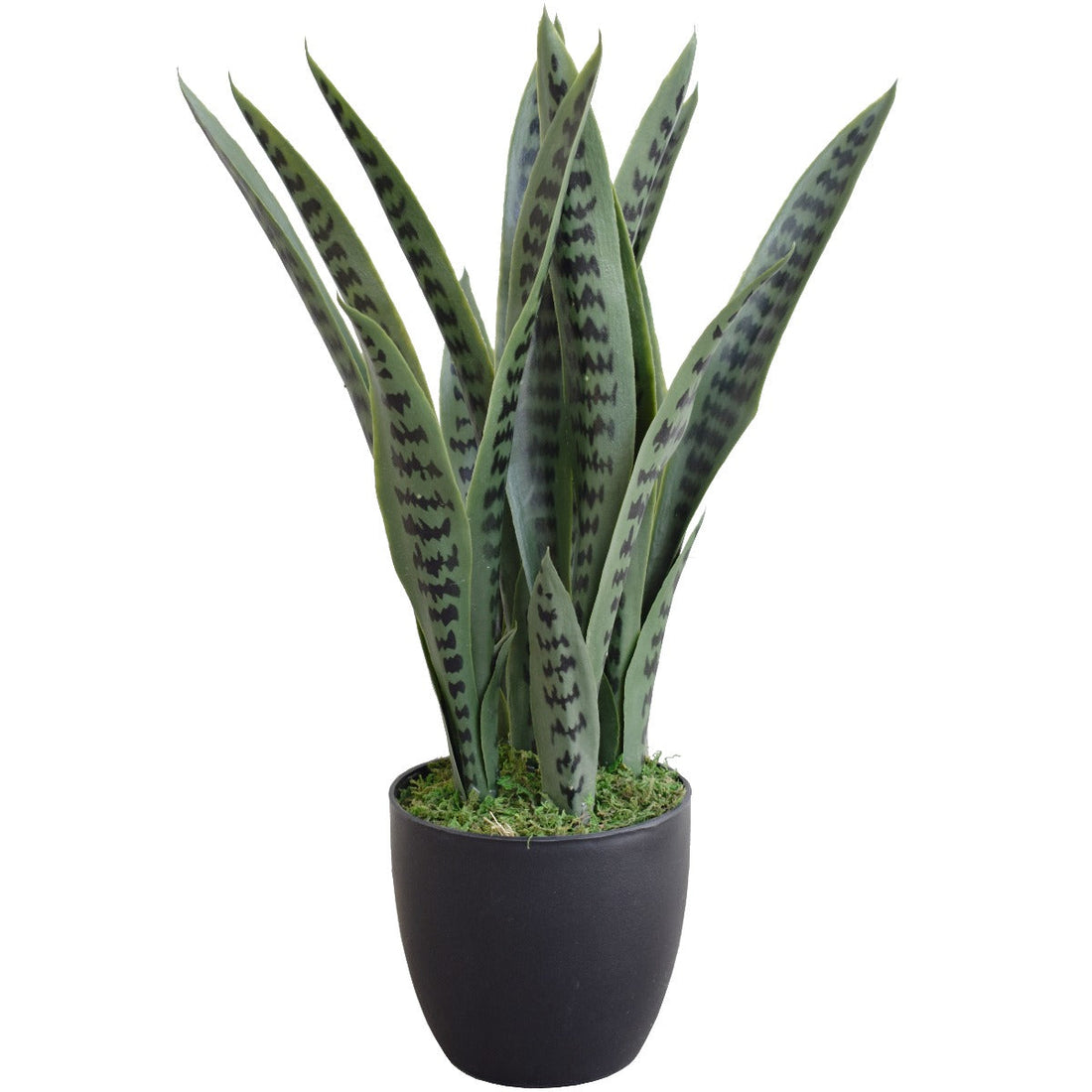 fake snake plant nz Buy the Mecora Artificial Snake Plant UV Resistant 60cm (V77-1009514) Online – Mecora NZ